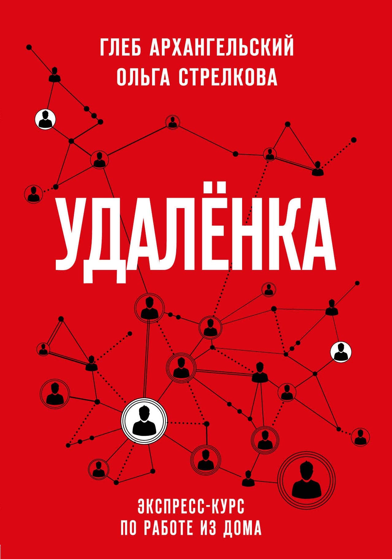 Udalenka. Ekspress-kurs po rabote iz doma book