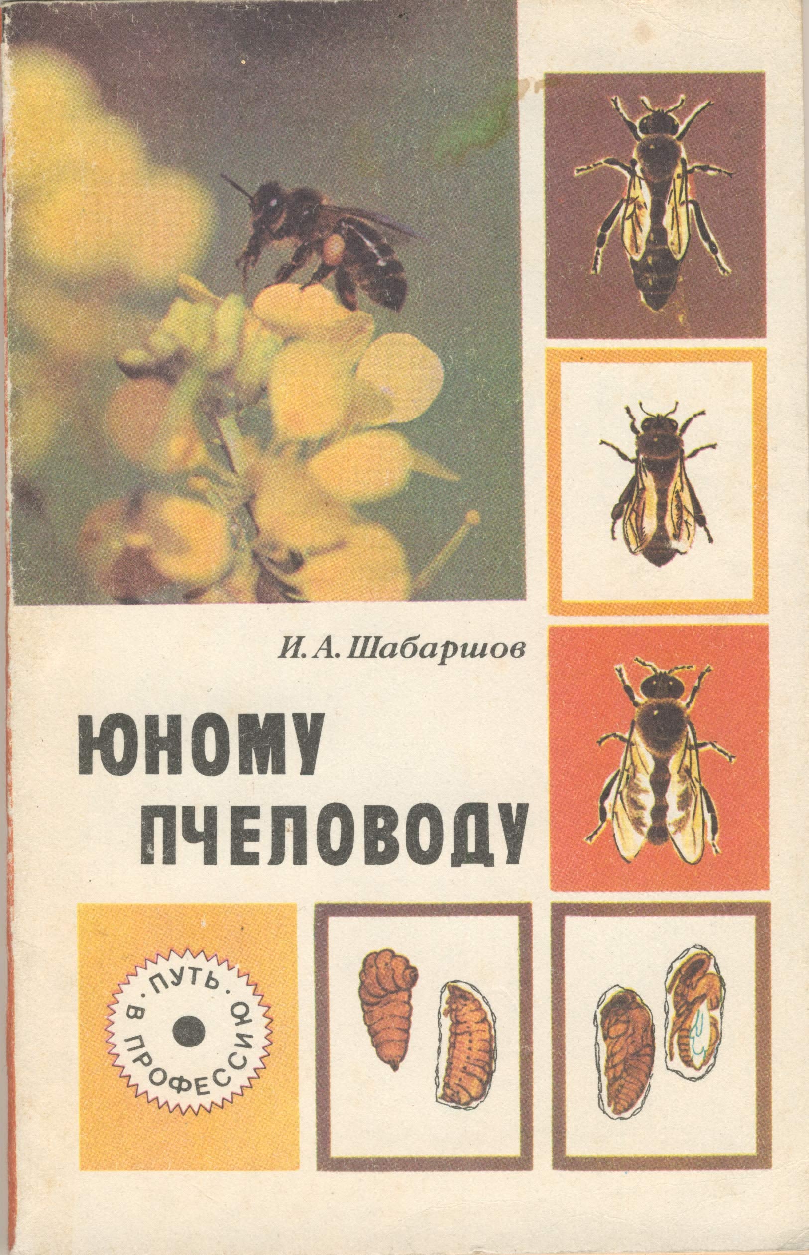 YUnomu pchelovodu: Pchelovodstvo Books