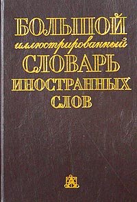 Bolshoy illyustrirovannyy slovar inostrannyh slov Books