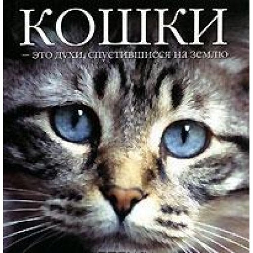 Koshki - eto duhi, spustivshiesya na zemlyu Books