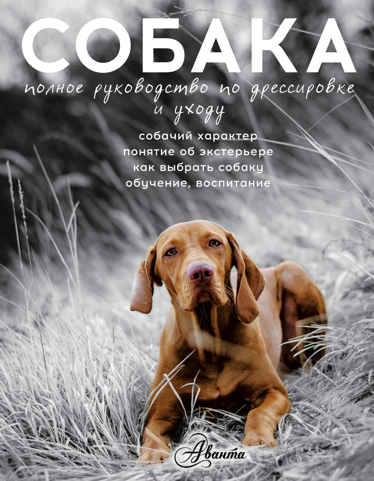 Sobaka. Polnoe rukovodstvo po dressirovke i ukhodu book