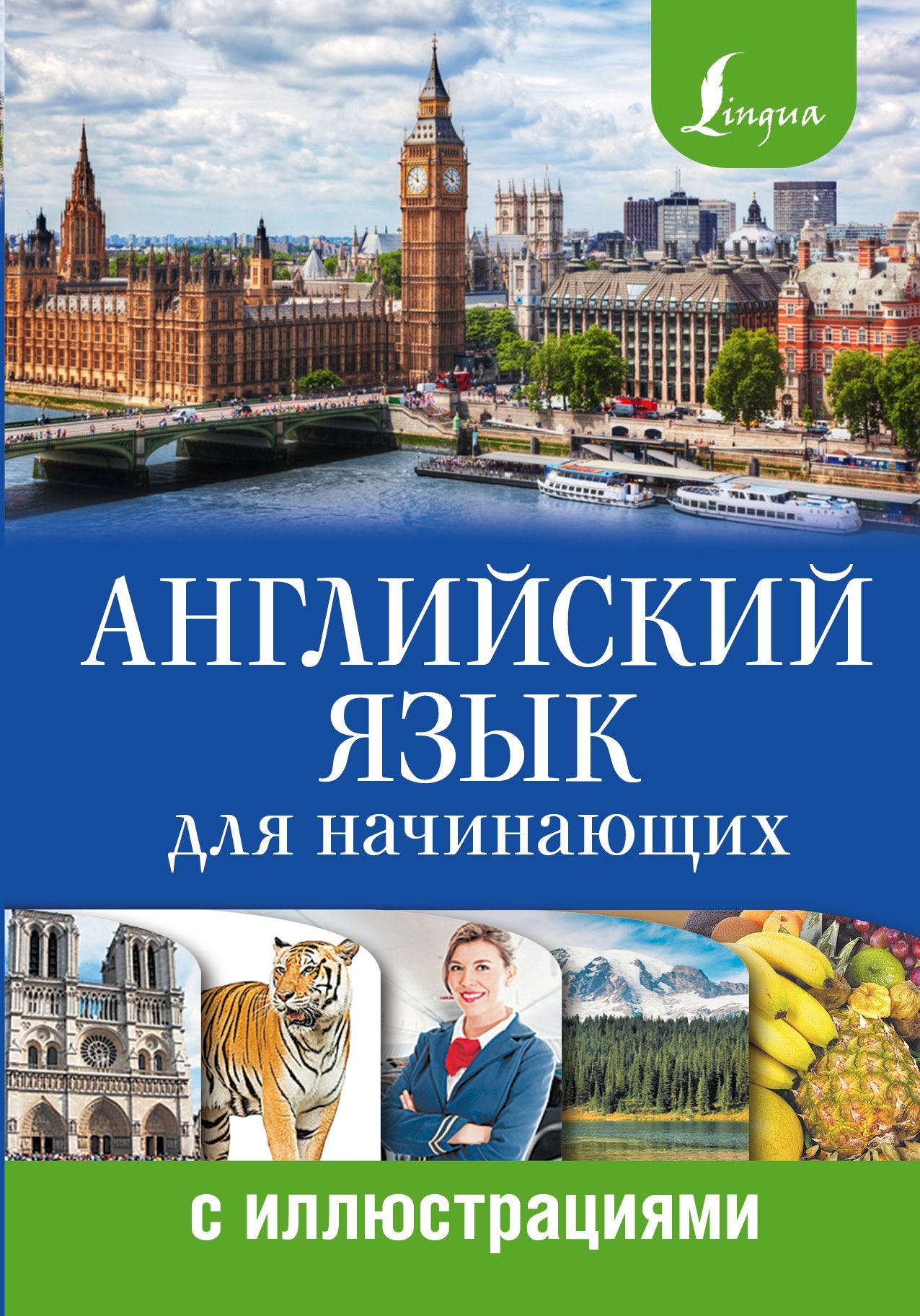 Angliyskiy yazyk dlya nachinayuschih s illyustratsiyami Books