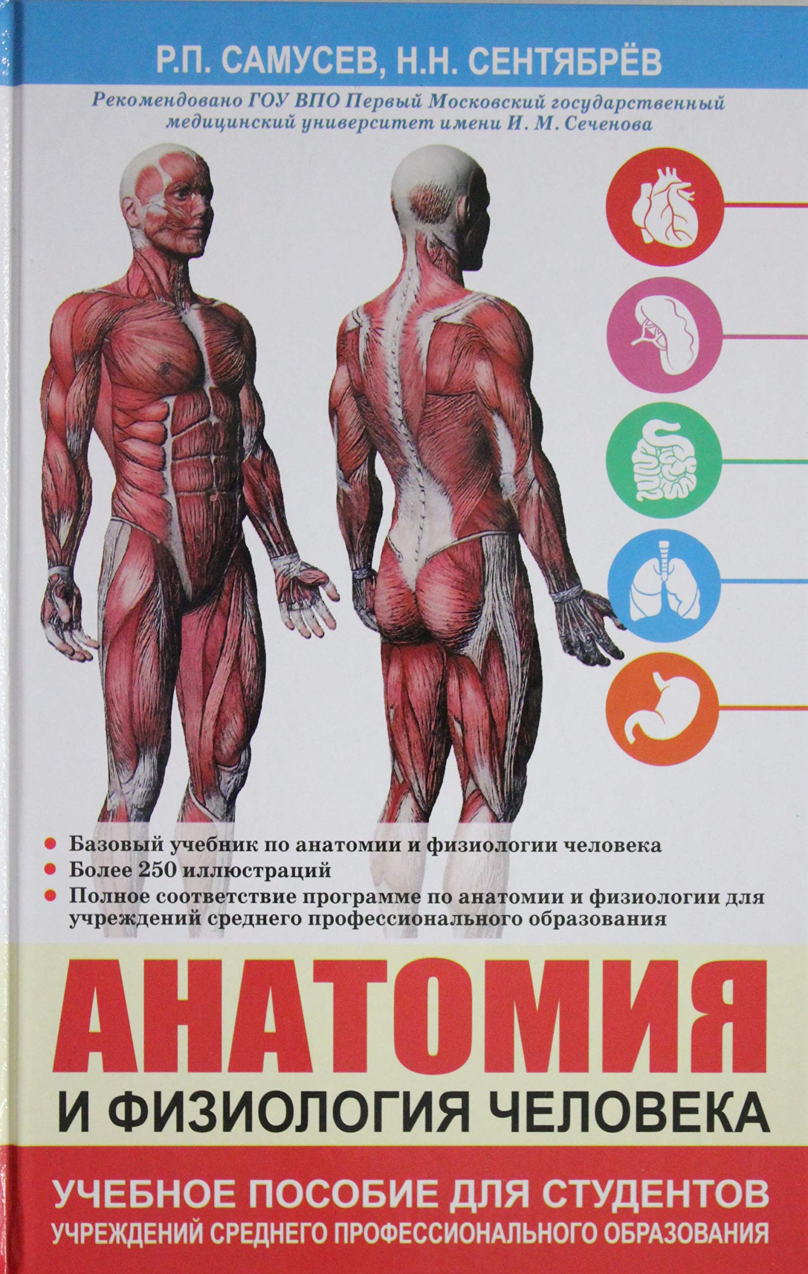 Anatomiya i fiziologiya cheloveka. Uchebnoe posobie Books
