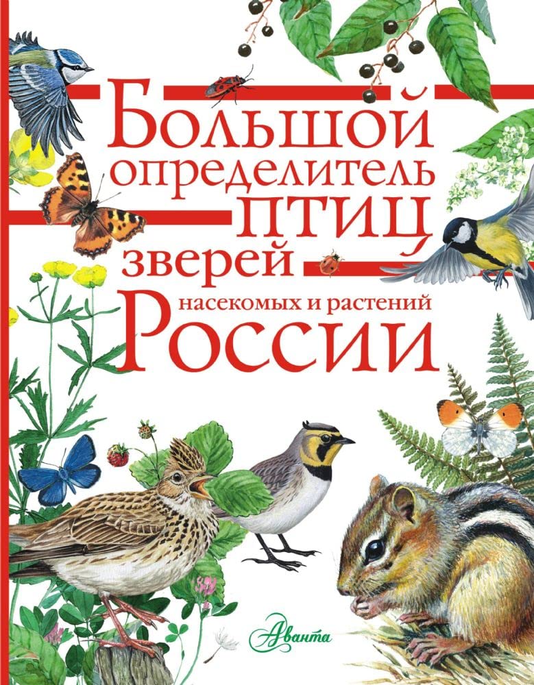 Bolshoj opredelitel zverej, amfibij, reptilij, ptits, nasekomykh i rastenij Rossii Books