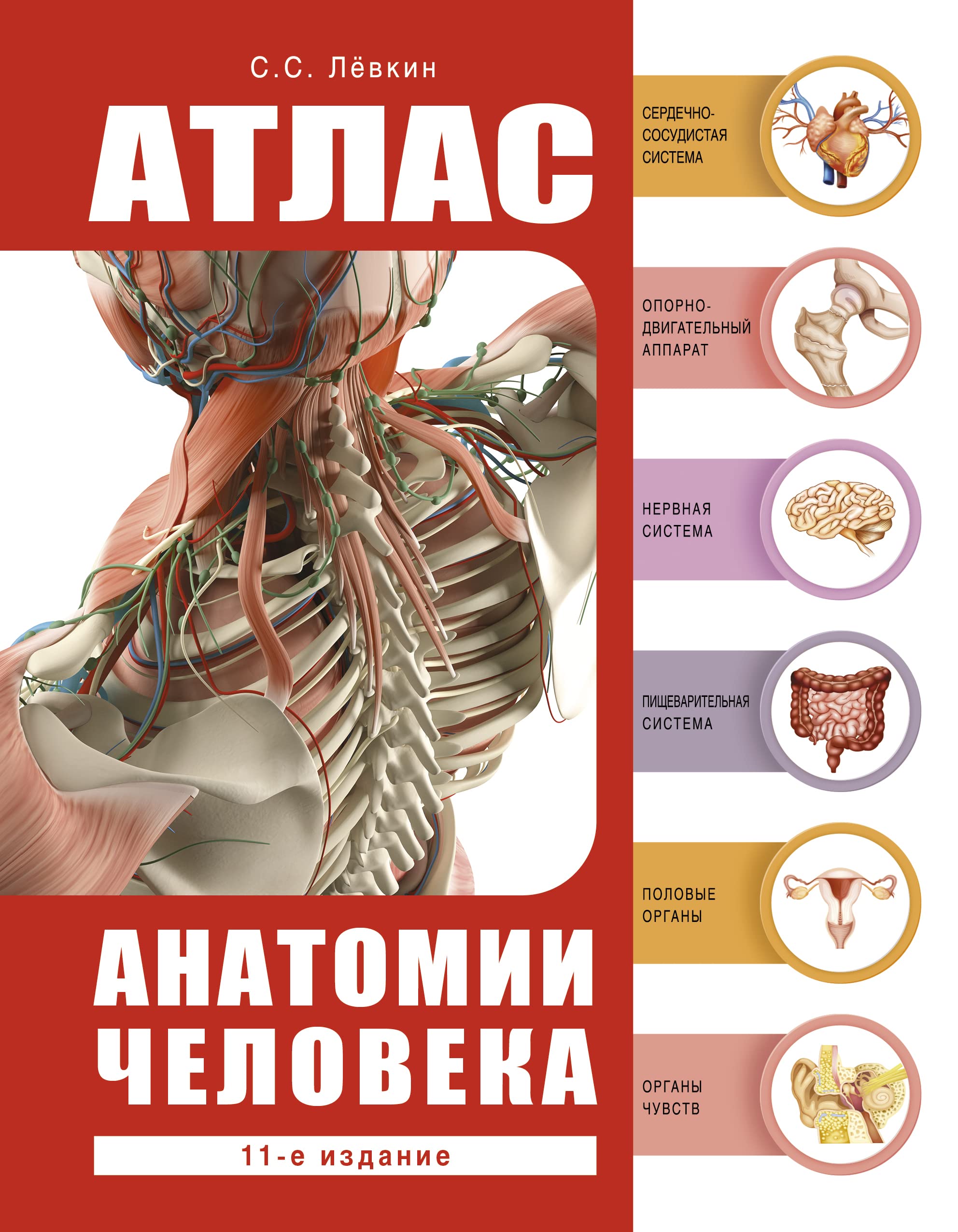 Atlas anatomii cheloveka Books