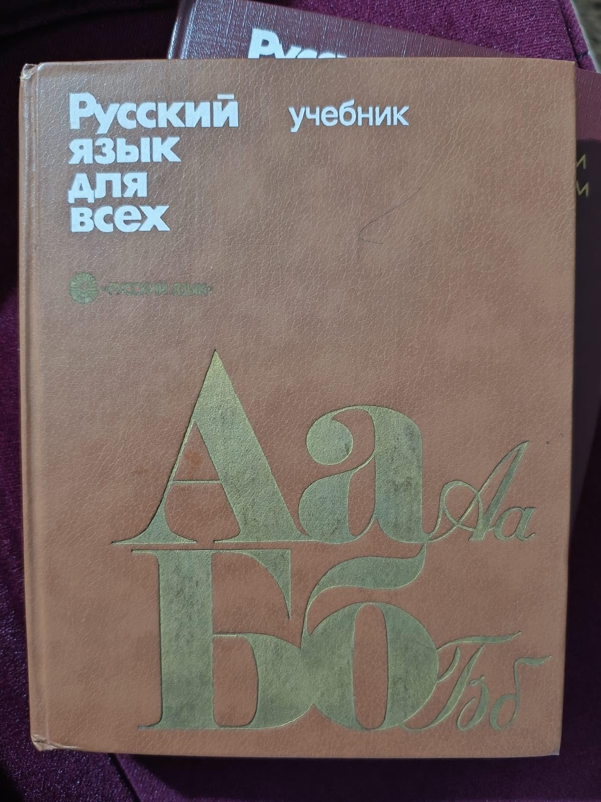 Russkiy yazyk dlya vseh. Davayte pogovorim i pochitaem Books
