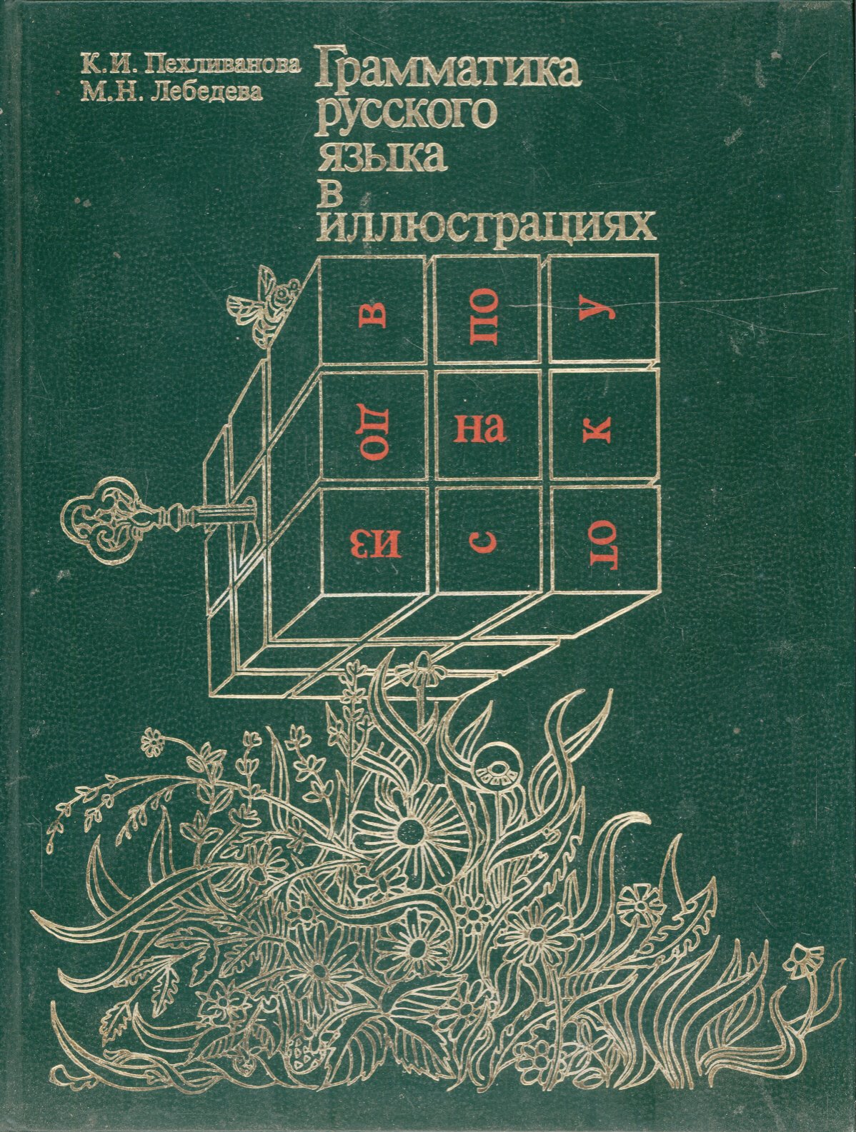 Illustrierte Grammatik der russischen Sprache (Грамматика русского языка иллюстрациях) Books