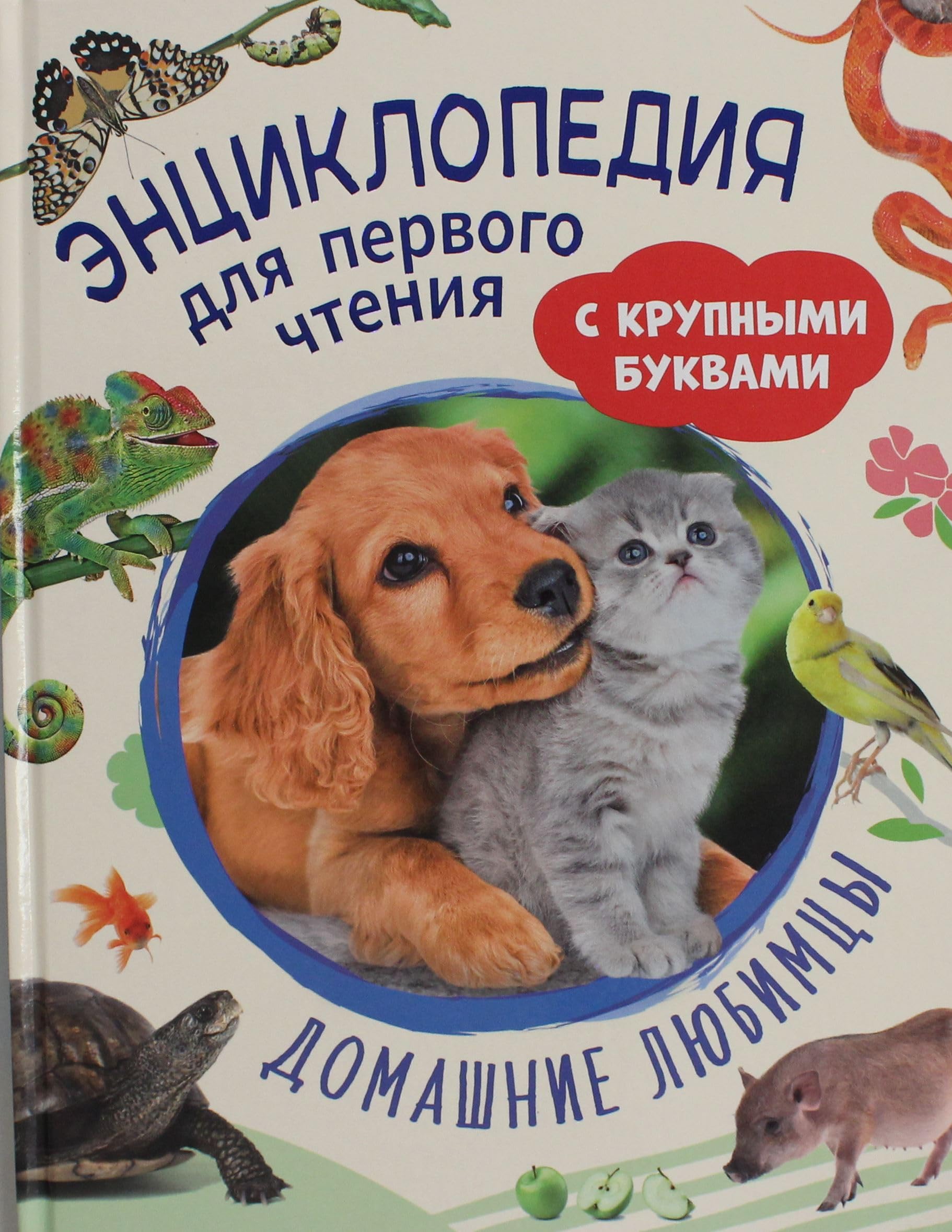 Domashnie ljubimtsy. Entsiklopedija dlja pervogo chtenija s krupnymi bukvami book