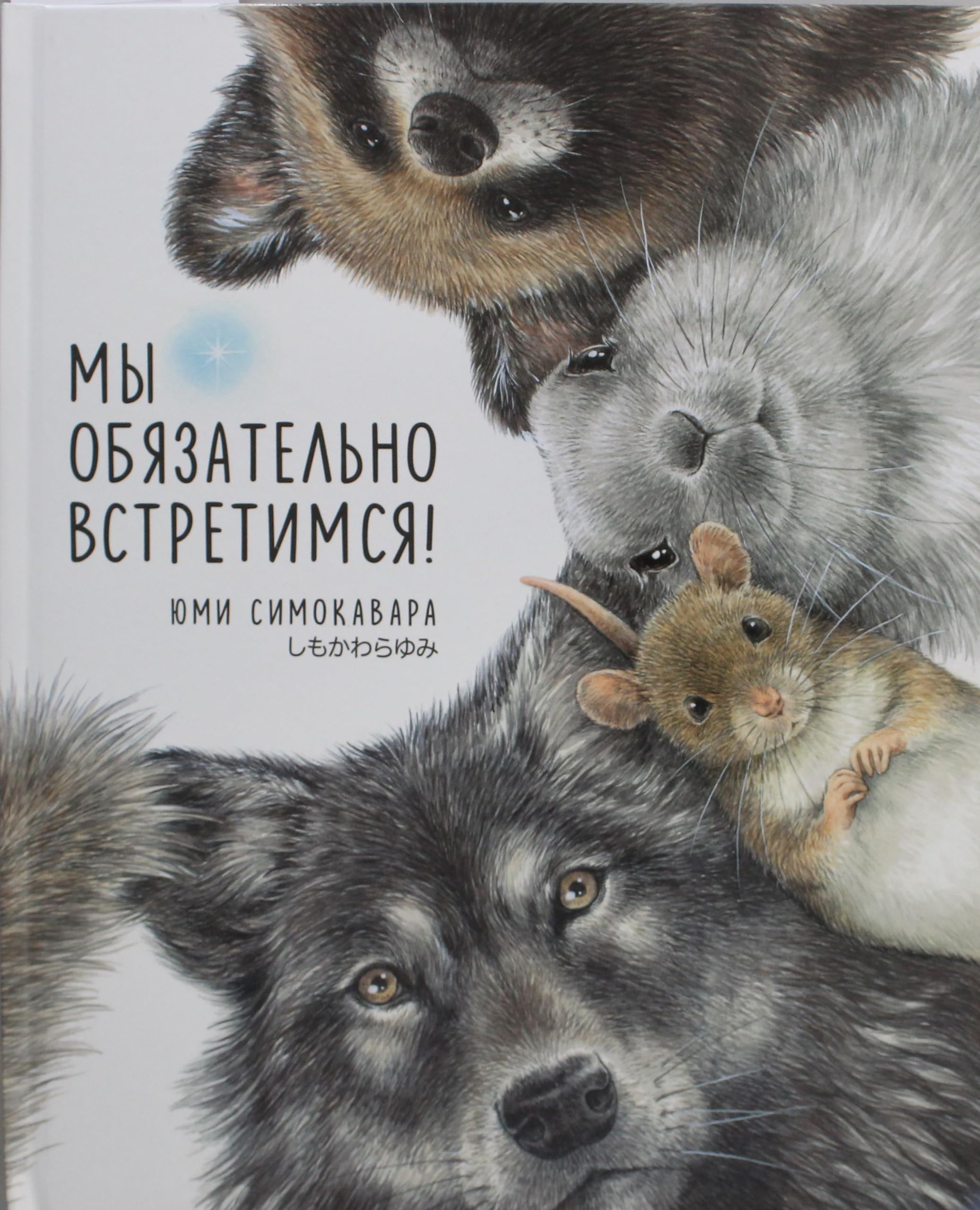 My objazatelno vstretimsja! book