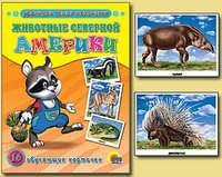 Obuchayuschie kartochki. Zhivotnye Severnoy Ameriki Books