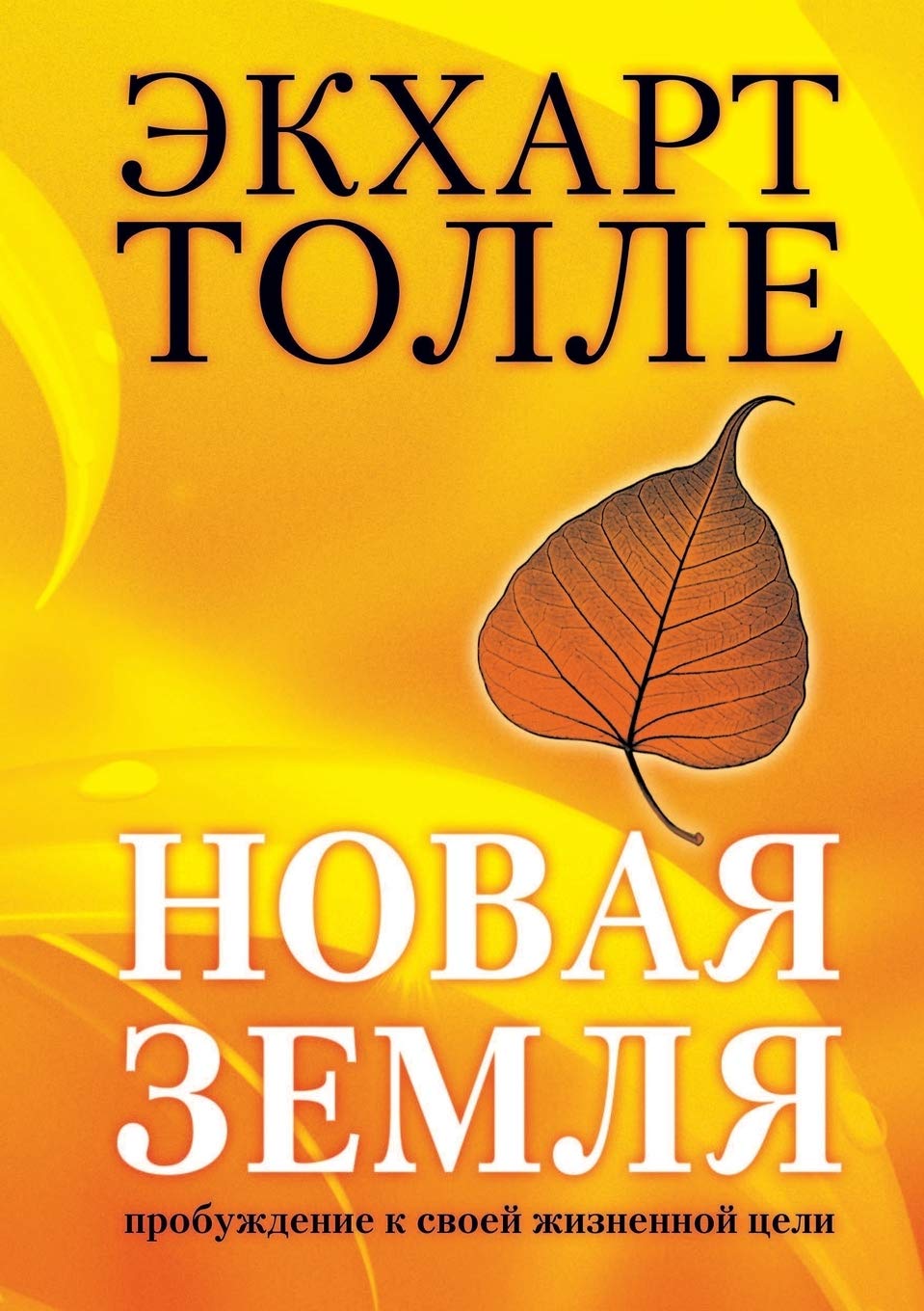 Novaya Zemlya. Probuzhdenie K Svoej Zhiznennoj Tseli Health, Nutrition & Fitness