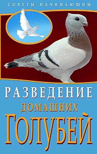 Razvedenie domashnih golubey Books