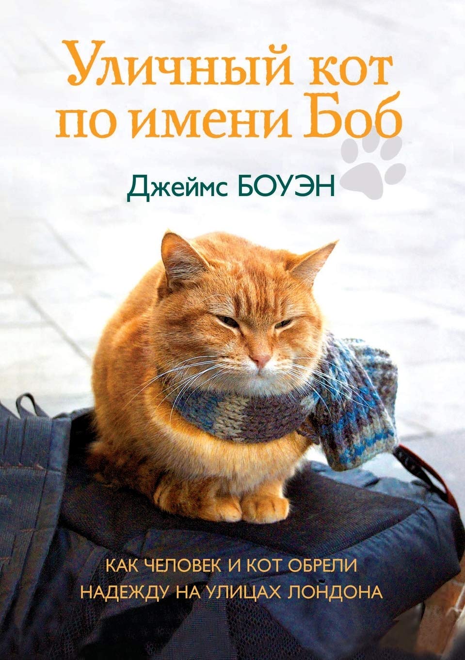 Ulichnyj kot po imeni Bob book