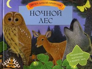 Sounds wild forest prirody nochnoy Zvuki dikoy prirody Nochnoy les Books
