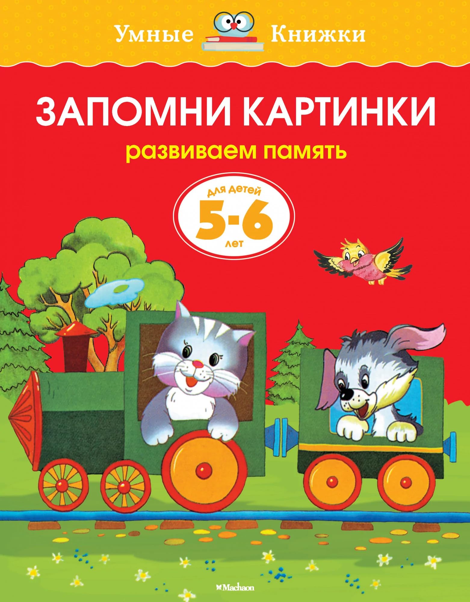 Zapomni kartinki. Razvivaem pamjat. Dlja detej 5-6 let book