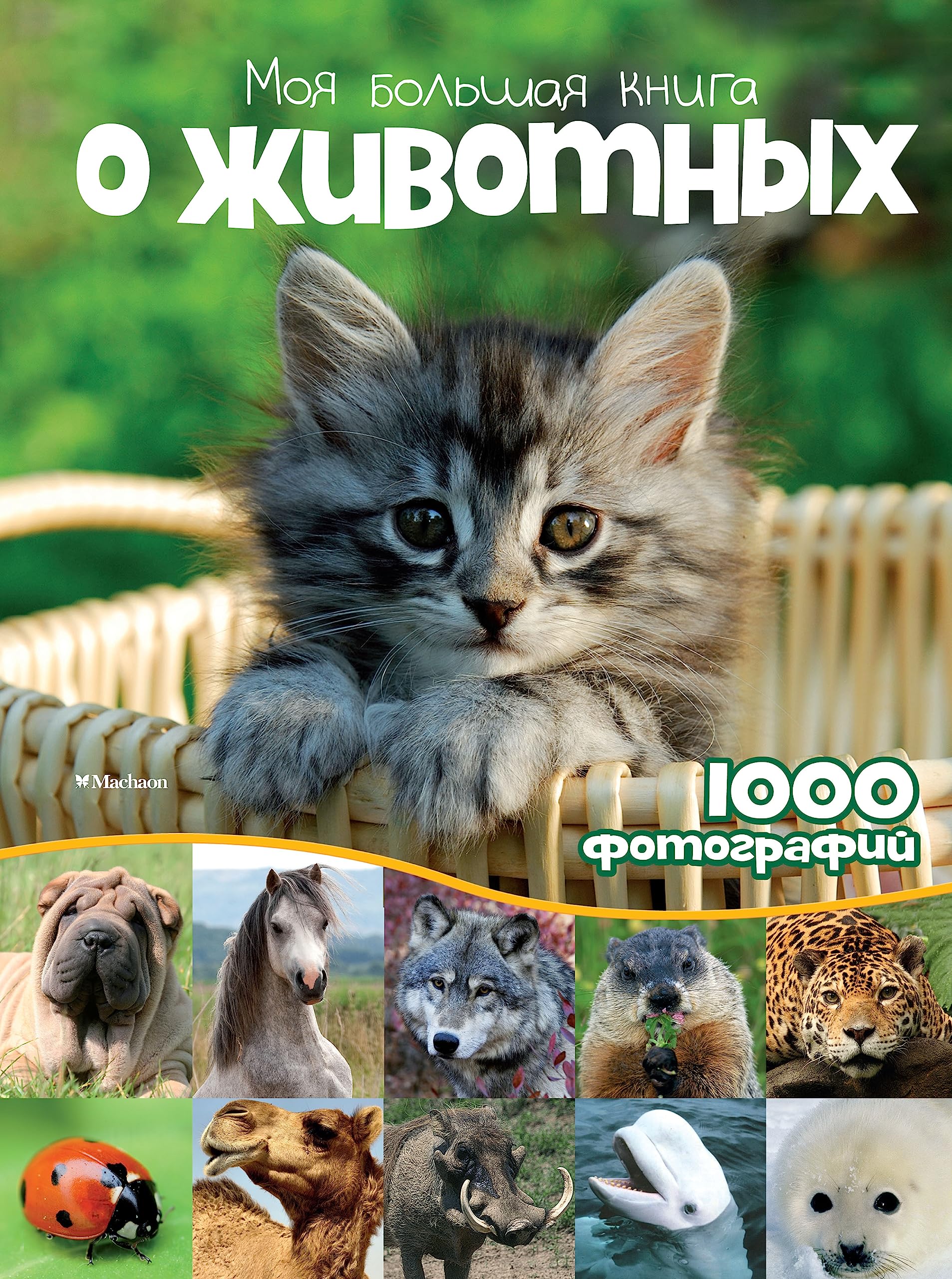 Moja bolshaja kniga o zhivotnykh book
