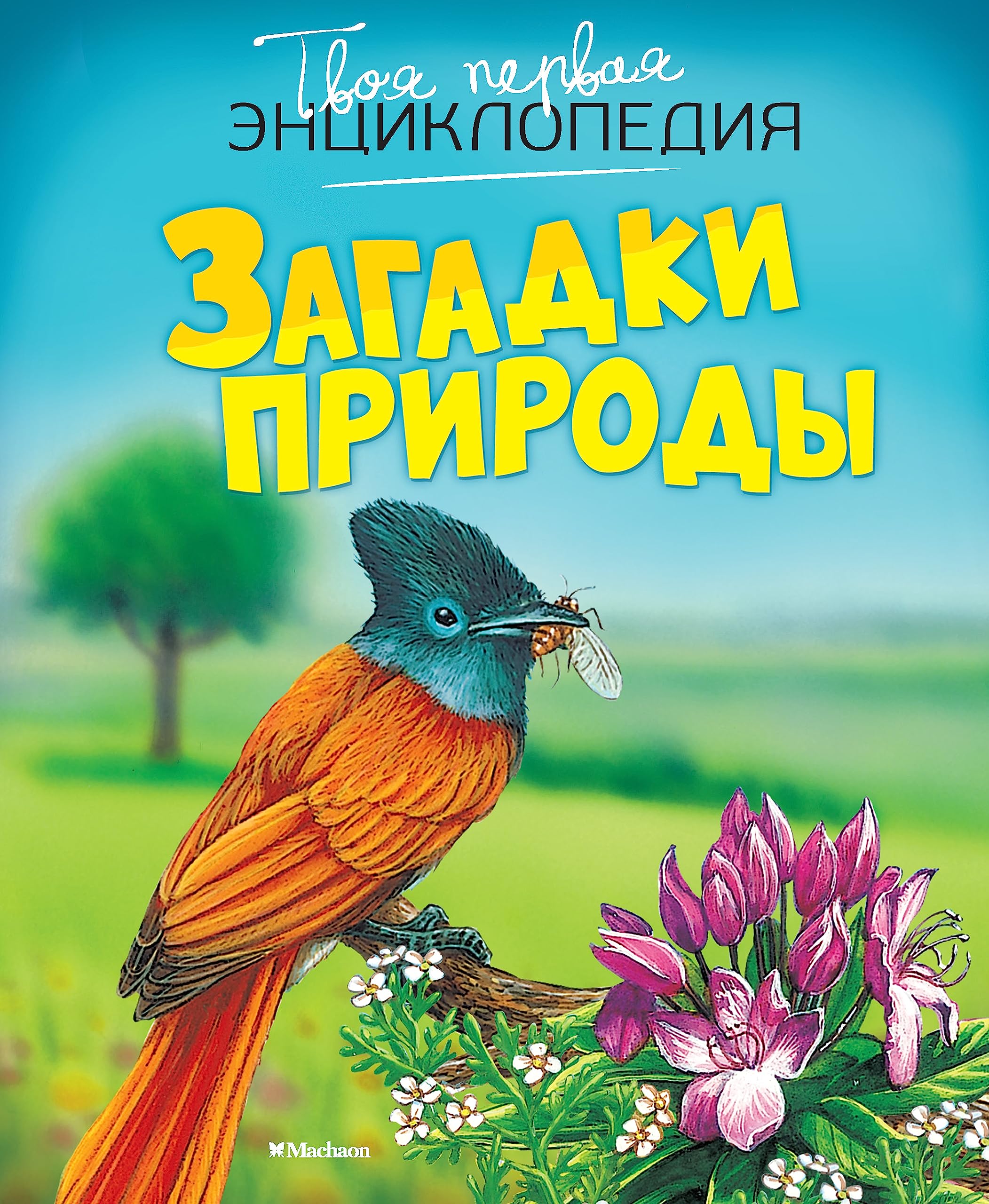 Zagadki prirody Books
