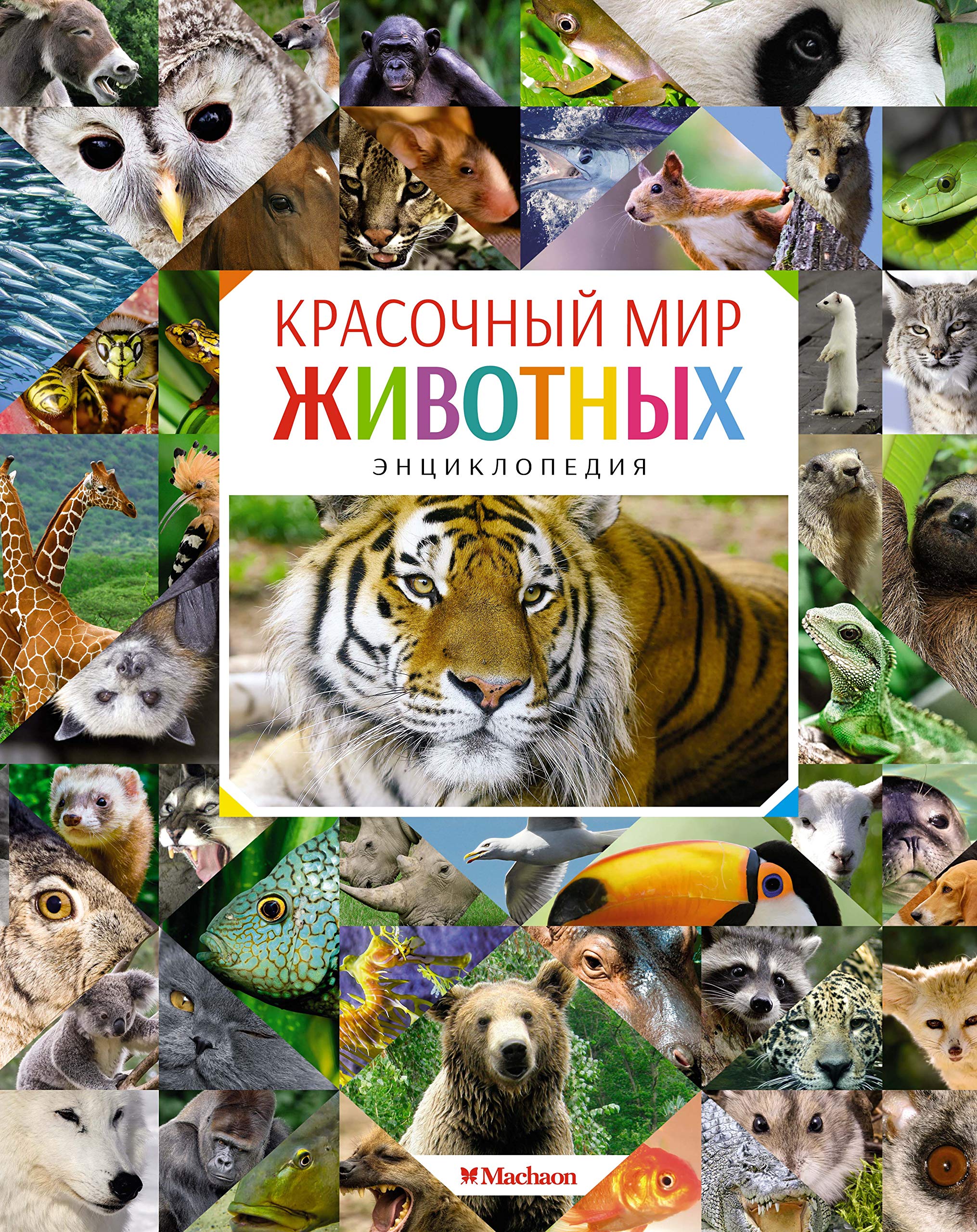Krasochnyj mir zhivotnykh Books