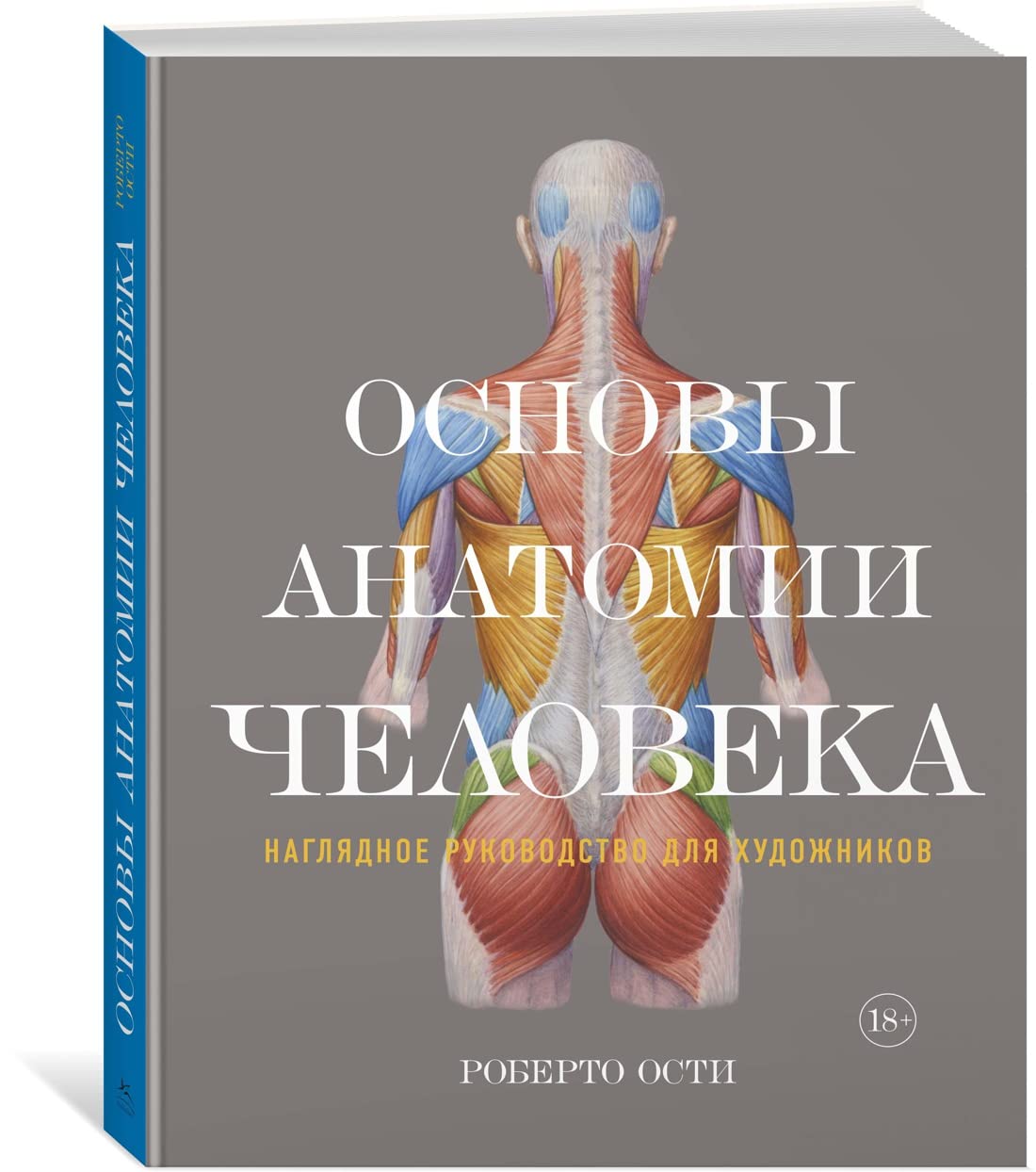Osnovy anatomii cheloveka. Nagljadnoe rukovodstvo dlja khudozhnikov Books