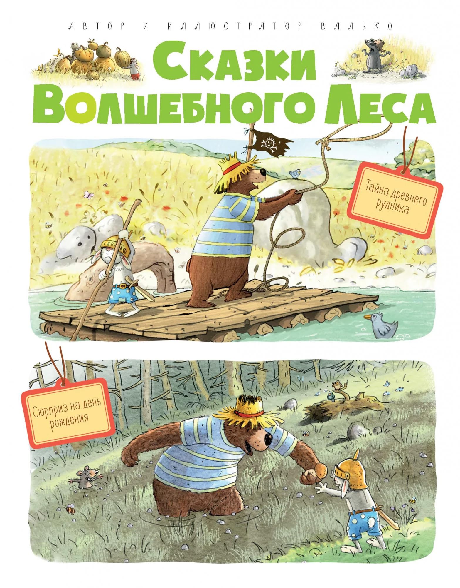 Skazki Volshebnogo lesa: Tajna drevnego rudnika, Sjurpriz na den rozhdenija Books