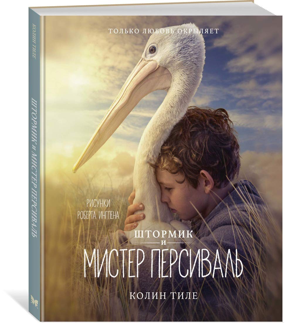 Shtormik i mister Persival book