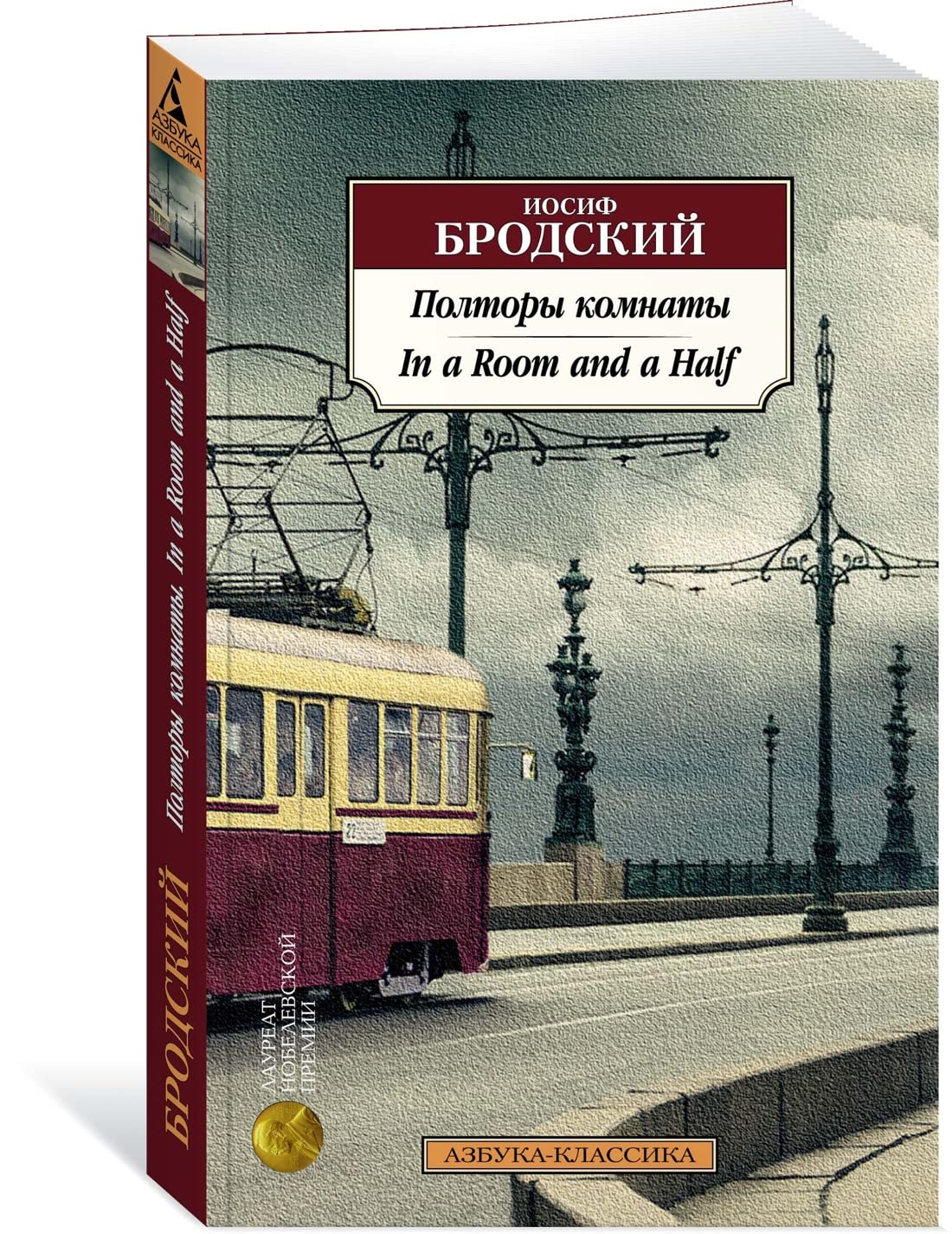 Poltory komnaty. In a Room and a Half (bilingva) book