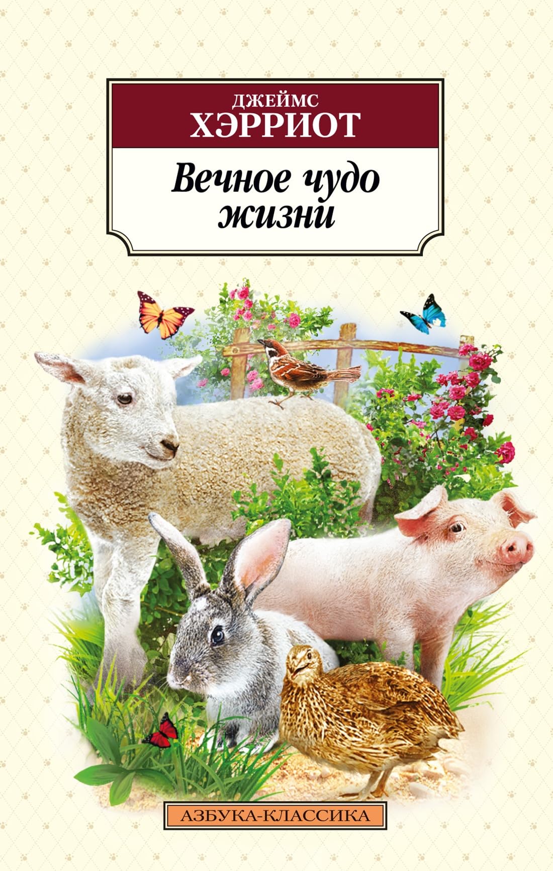 Vechnoe chudo zhizni Books