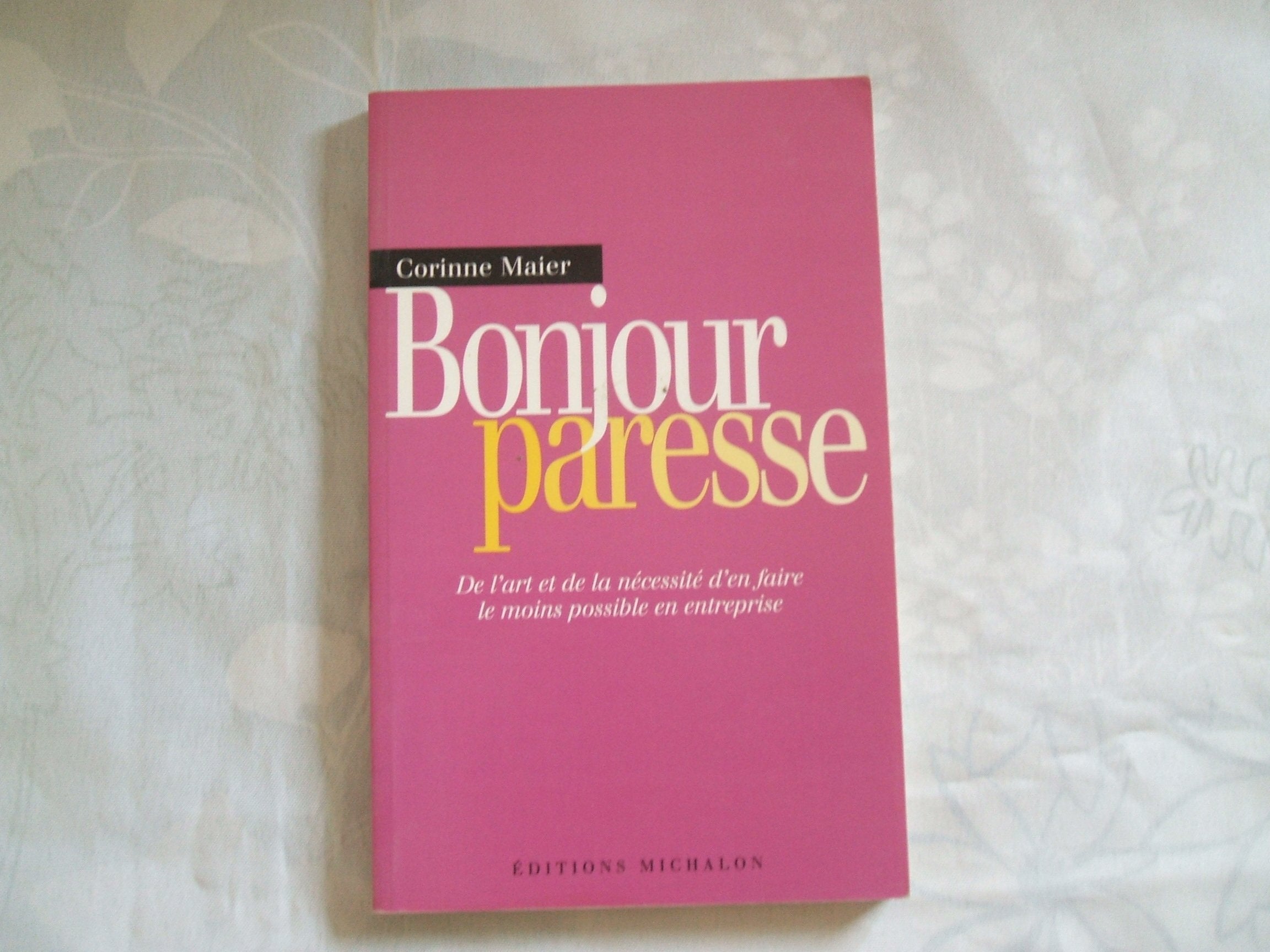 CORINNE MAIER//BONJOUR PARESSE//DE L'ART ET DE LA NECESSITE D'EN FAIRE LE MOINS POSSIBLE EN ENTREPRISE//EDITIONS MICHALON//2004 book