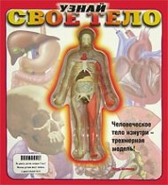 Uznaj svoe telo: Chelovecheskoe telo iznutri-trechmernaja model(in Russischer Sprache / Russisch / Russian / kniga) Books