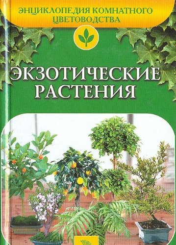 Ekzoticheskie rasteniya Leisure, Home & Garden