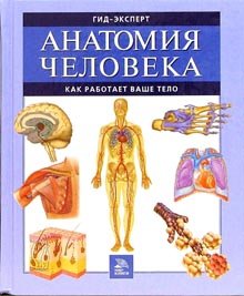 The Human Body / Anatomiya cheloveka. Kak rabotaet vashe telo (In Russian) book