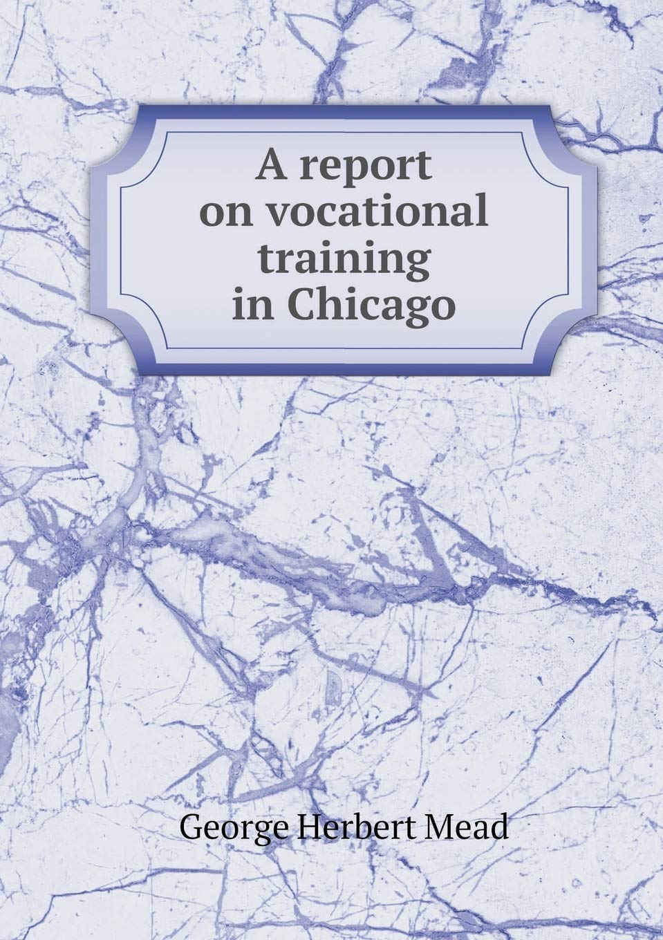 A Report on Vocational Training in Chicago Books