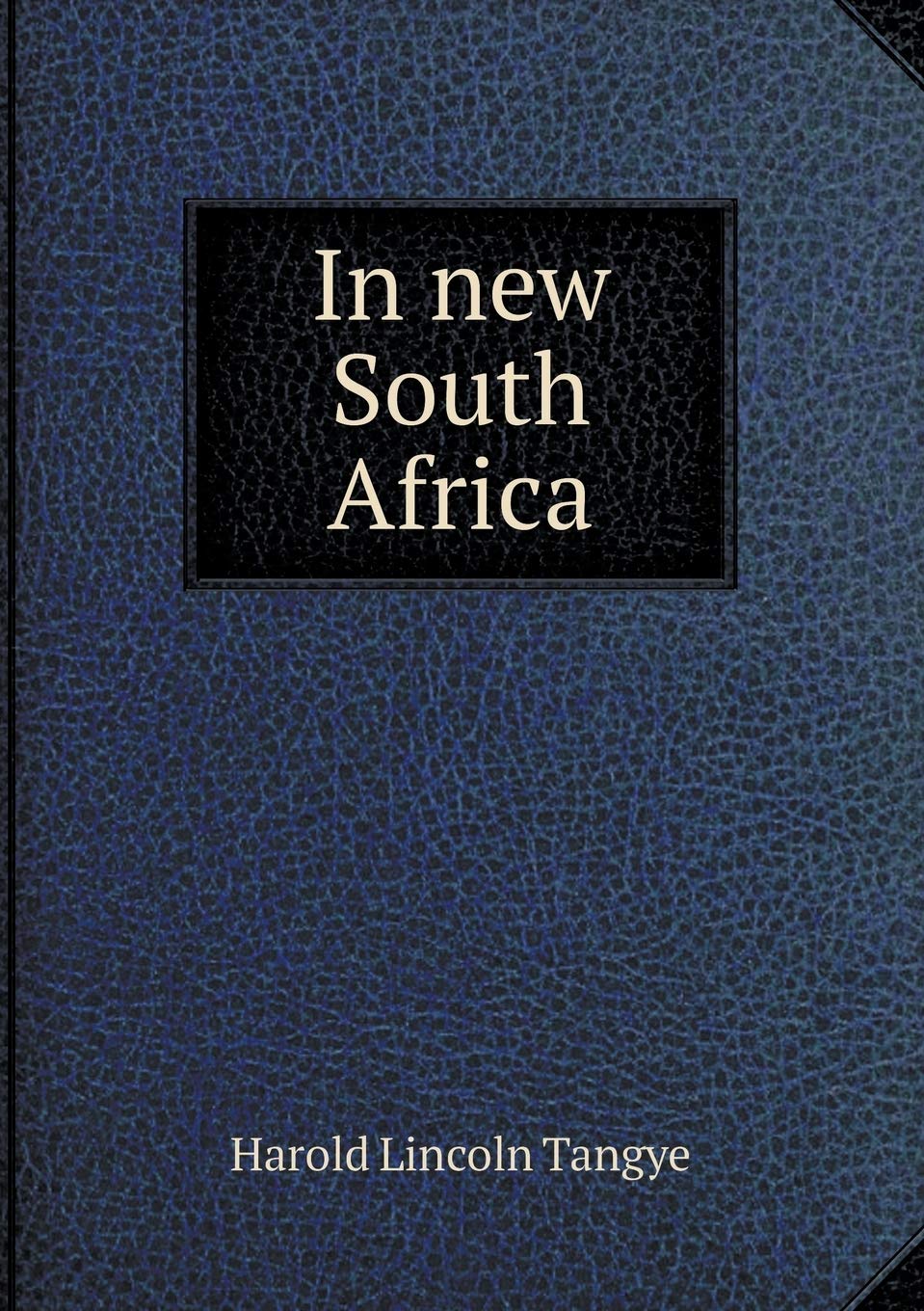 In new South Africa Politics & History