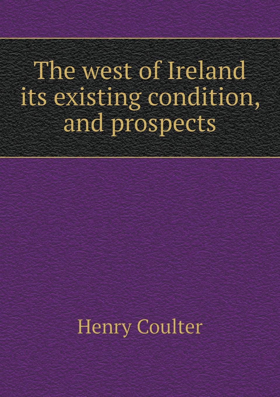 The west of Ireland its existing condition, and prospects Books