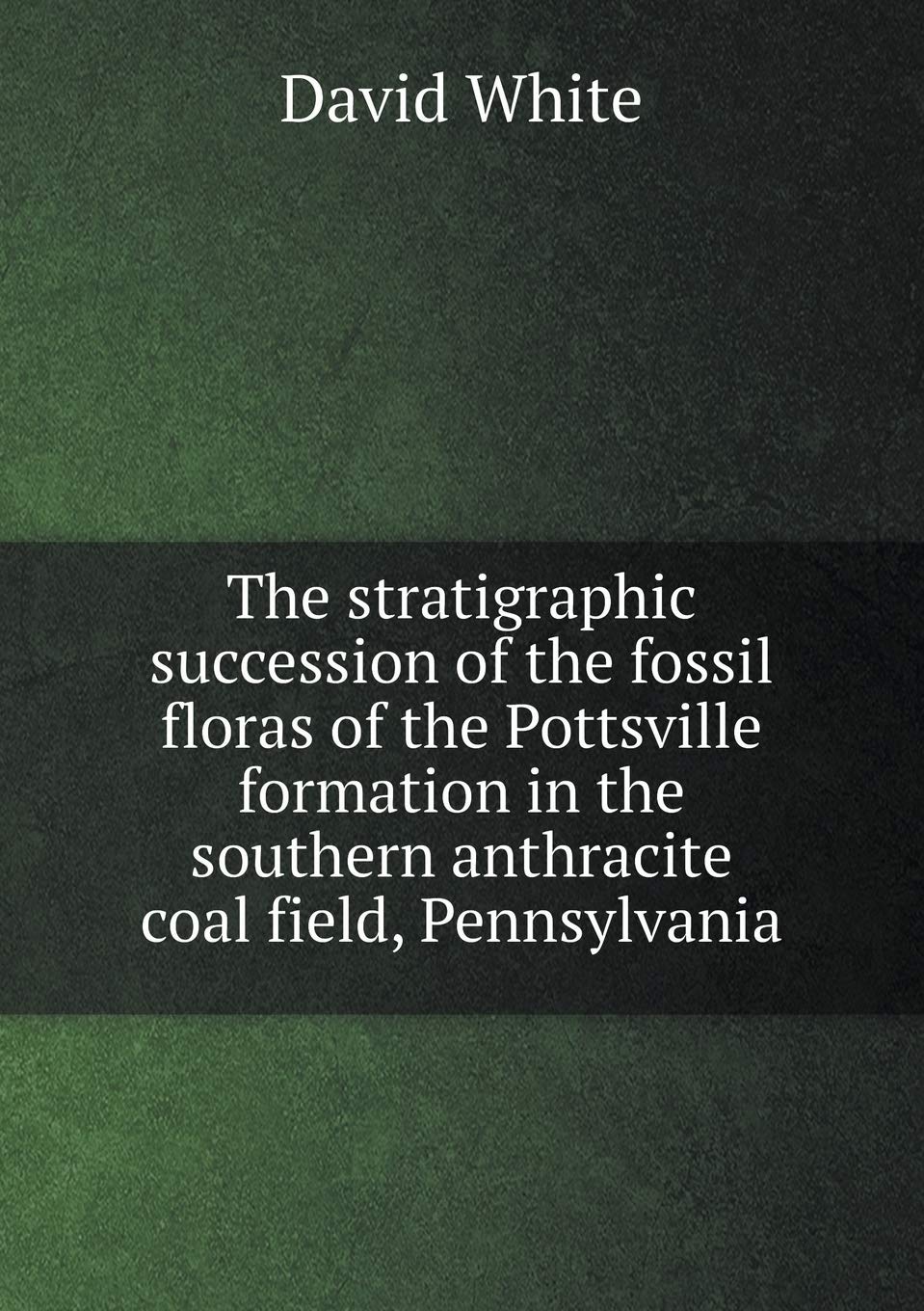 The stratigraphic succession of the fossil floras of the Pottsville formation in the southern anthracite coal field, Pennsylvania Books