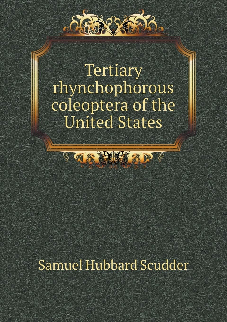 Tertiary rhynchophorous coleoptera of the United States Contemporary literature