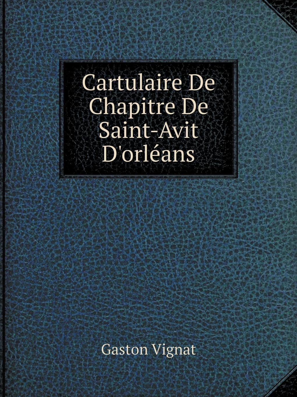 Cartulaire De Chapitre De Saint-Avit D'orléans Architecture