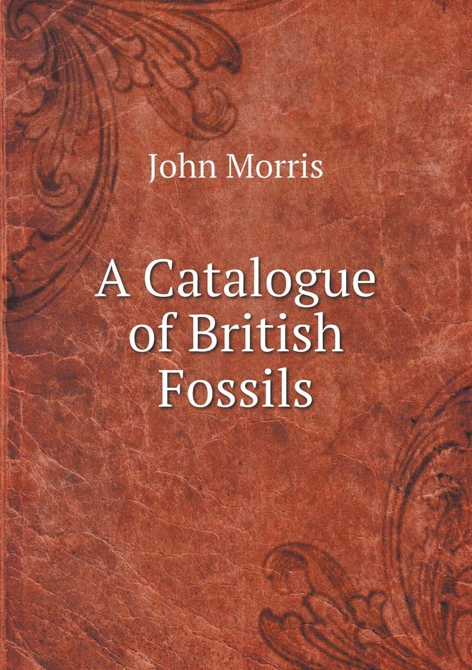 A Catalogue of British Fossils Reference Books
