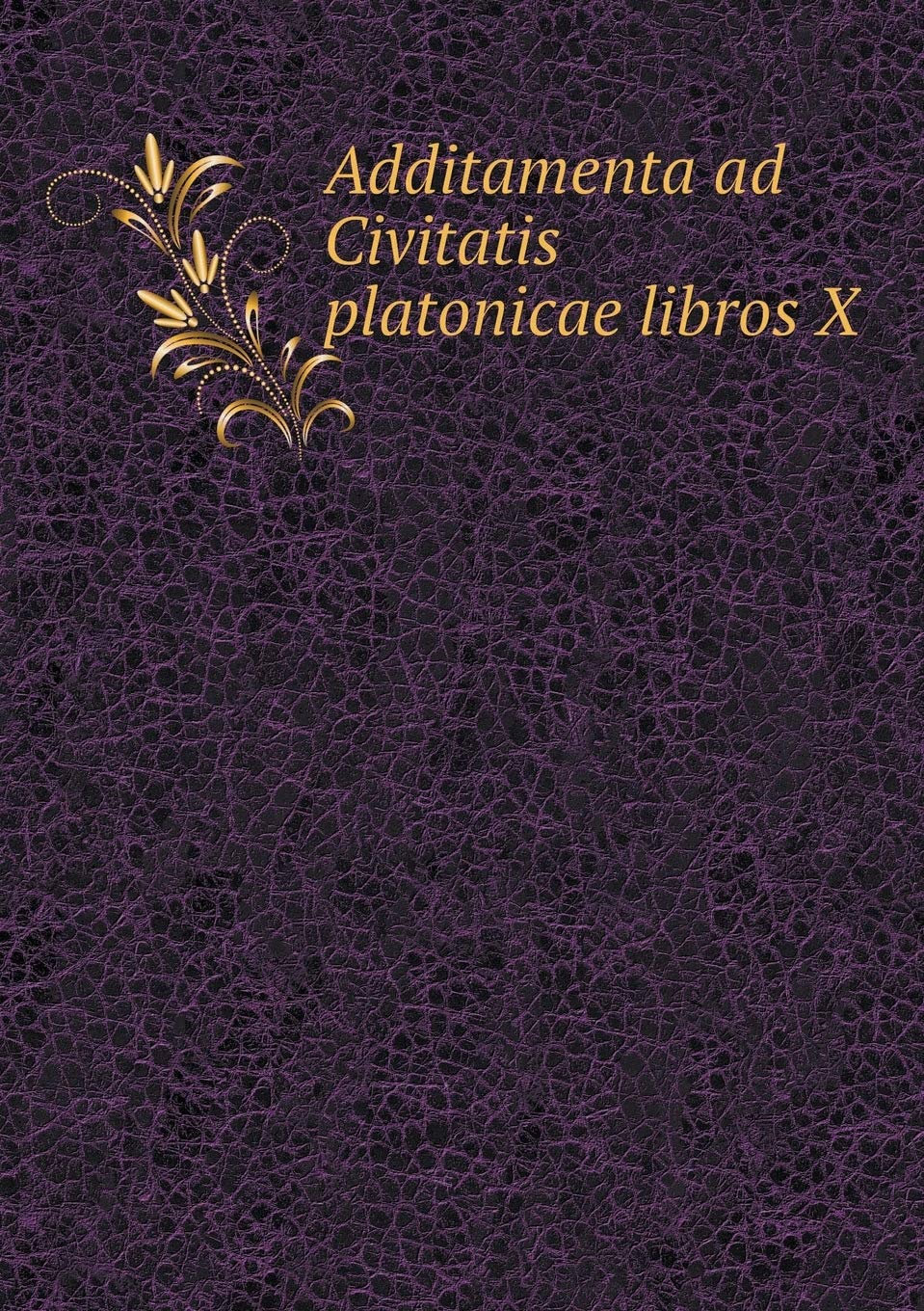 Additamenta ad Civitatis platonicae libros X Books