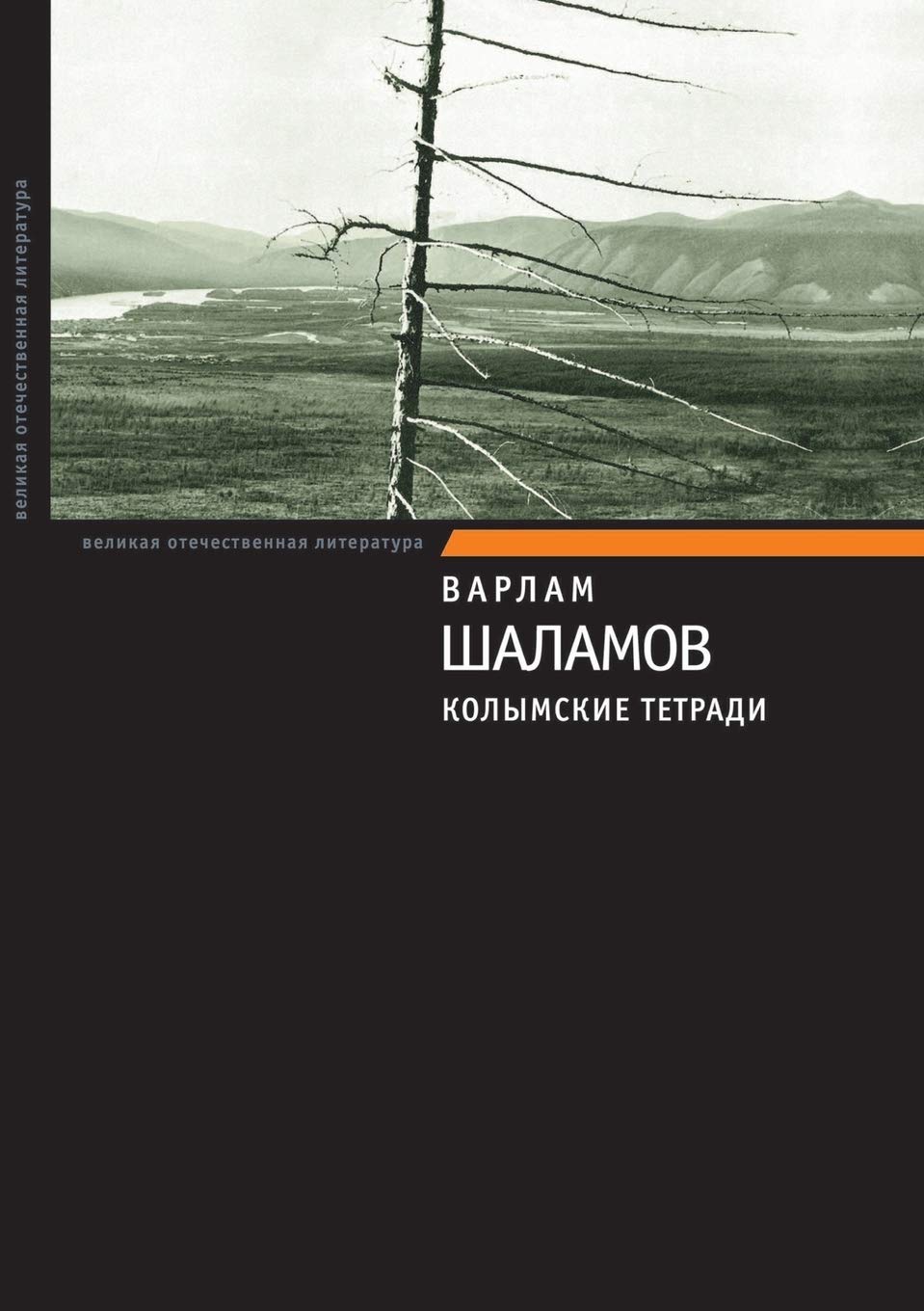 Kolymskie tetradi book