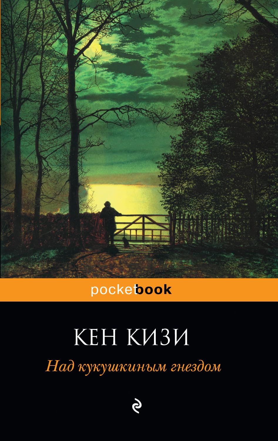 Nad kukushkinym gnezdom book