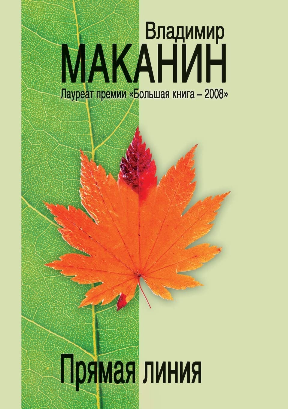 The Straight Line Contemporary literature