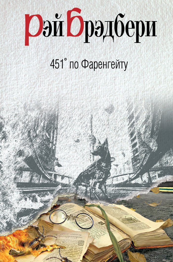 451° po Farengejtu Books