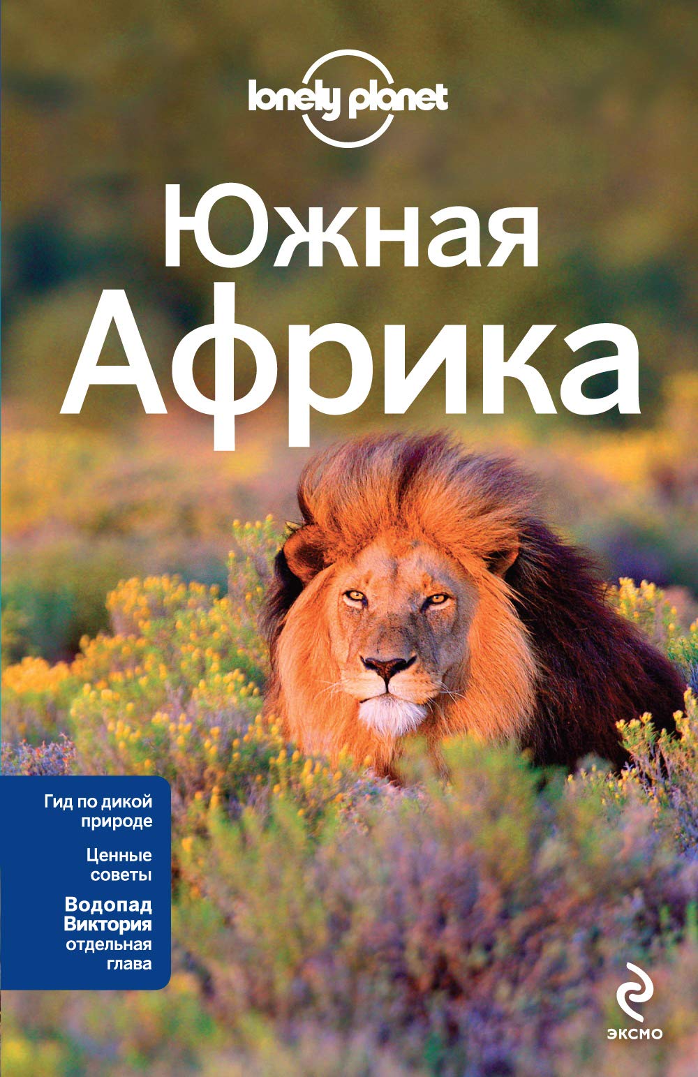 Juzhnaja Afrika: JUAR, Zimbabve, Mozambik, Botsvana, Namibija, Zambija, Malavi, Svazilend Books