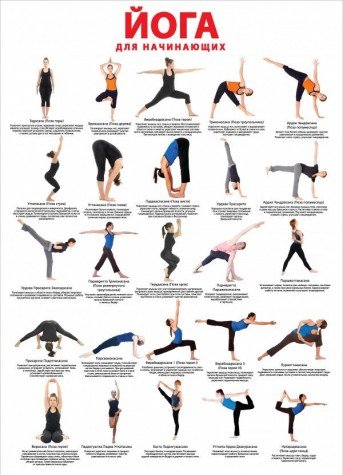 Yoga dlya nachinayuschih. Uchebnyy plakat Lifestyle