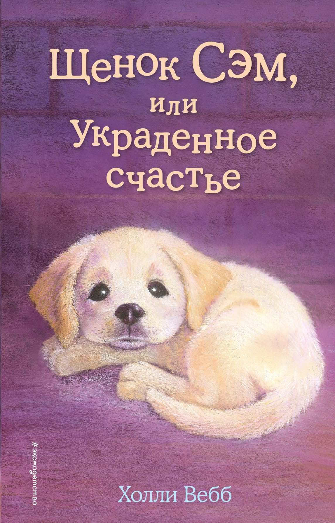 Schenok Sem, ili Ukradennoe schast'e (vypusk 30) Books