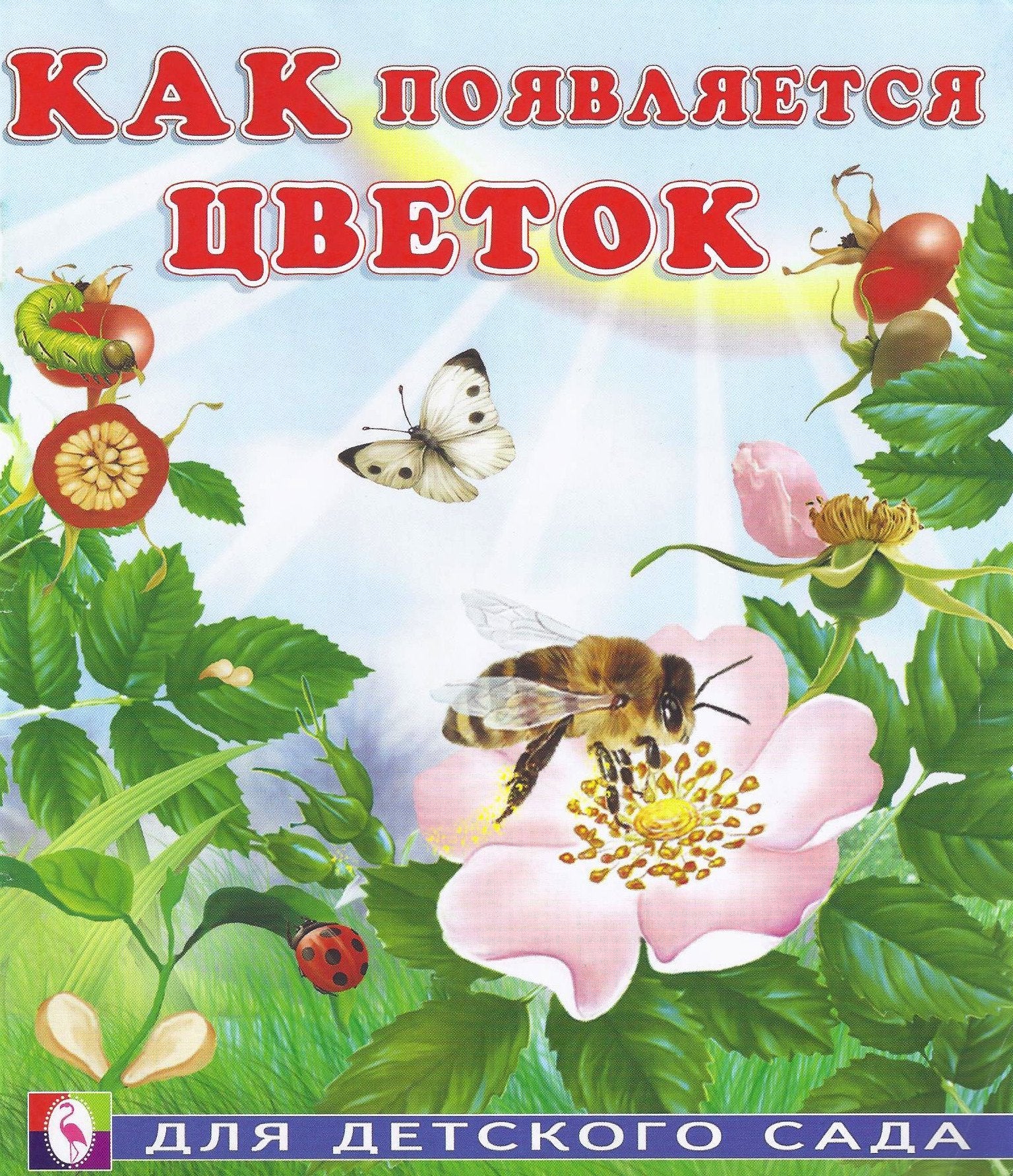 Kak poyavlyaetsya tsvetok Books