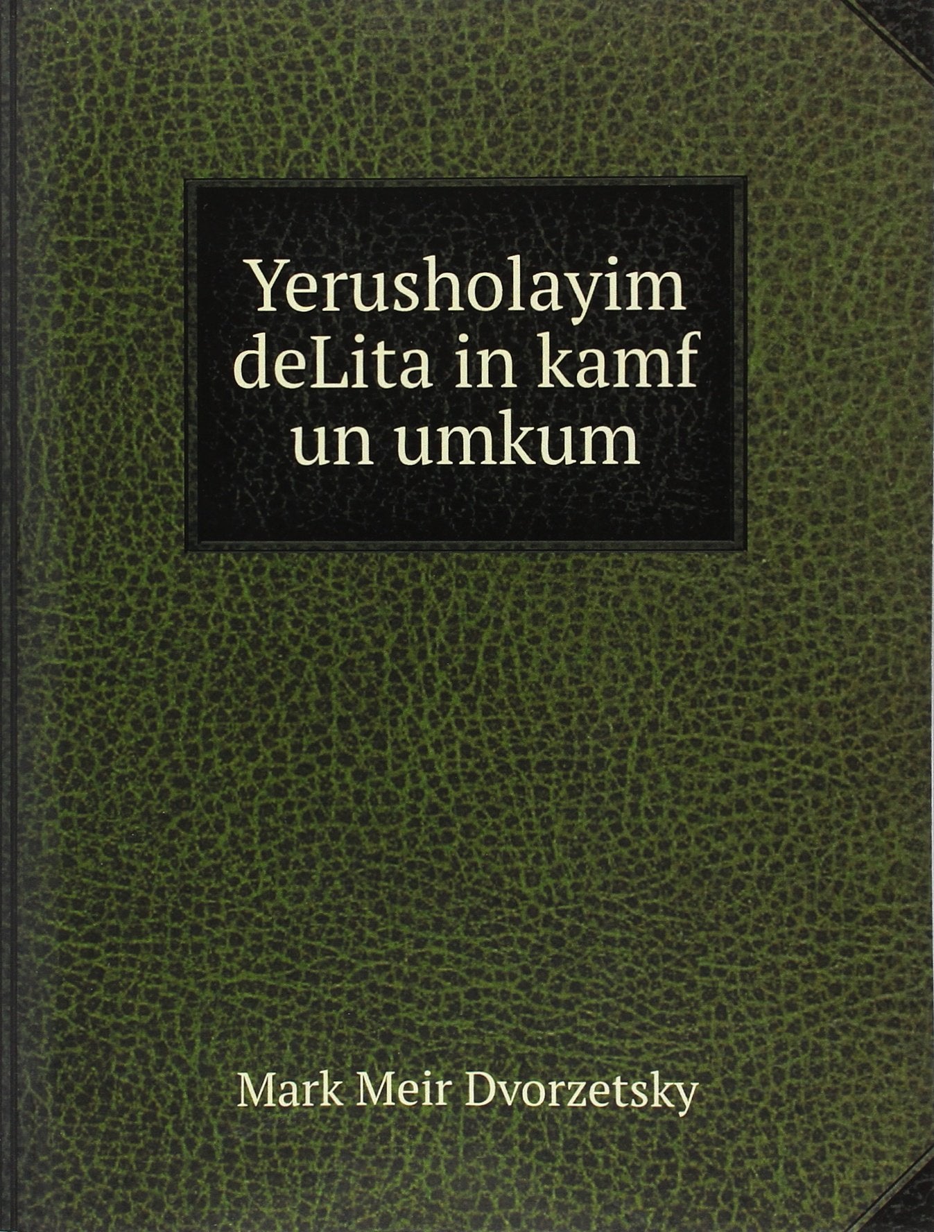 Yerusholayim Delita in Kamf Un Umkum book
