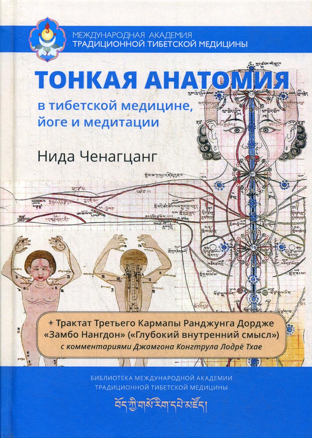 Тонкая анатомия в тибетской медицине, йоге и медитации. Ключ к энергетической структуре человека Books