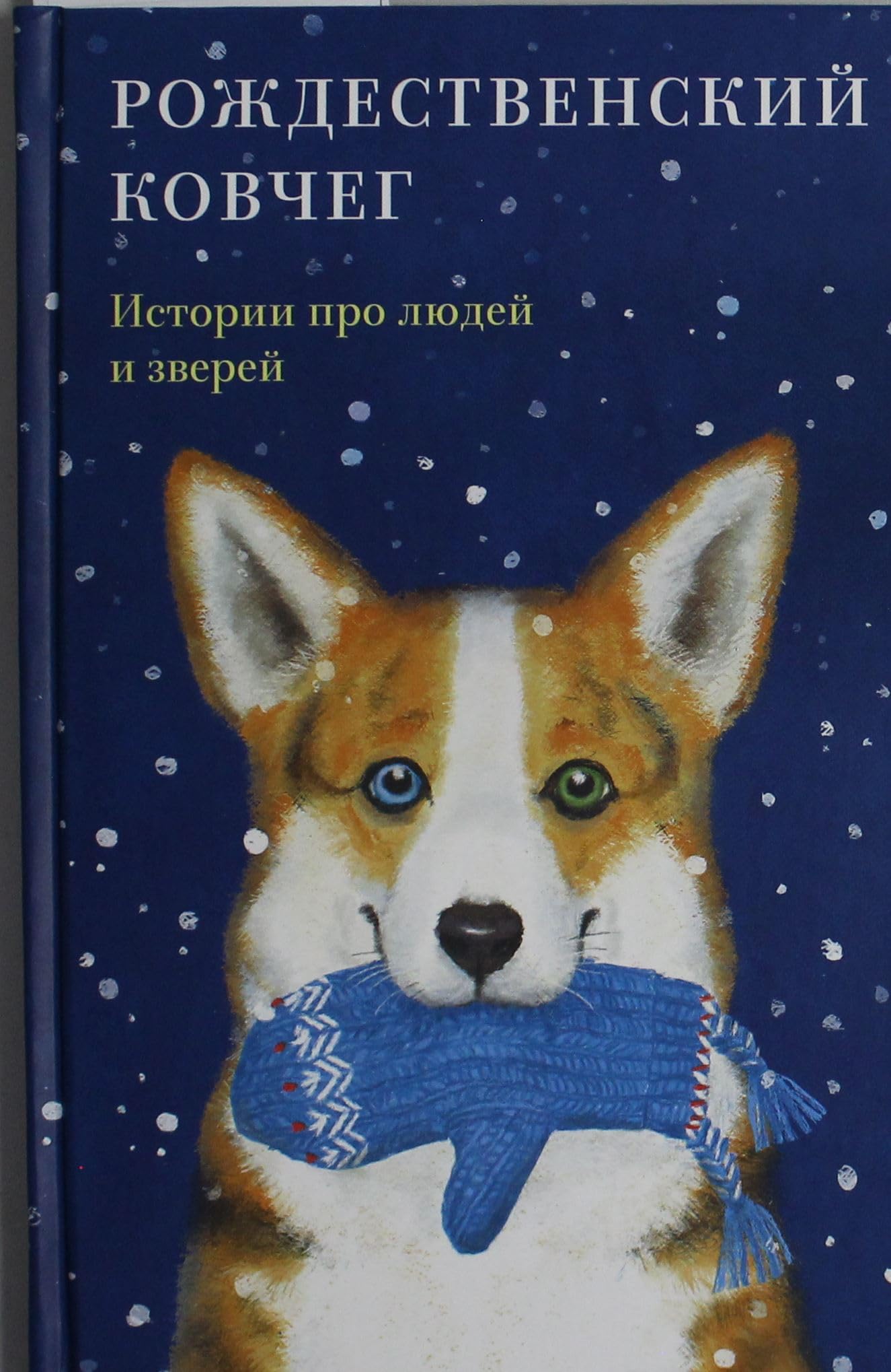 Rozhdestvenskij kovcheg. Istorii pro ljudej i zverej book